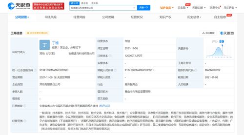 螞蟻集團攜手黃山旅游成立合資公司，1.2億資本共繪智慧旅游新藍圖